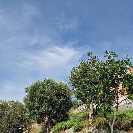 Bed and Breakfast Gemy Boissano Esterno foto
